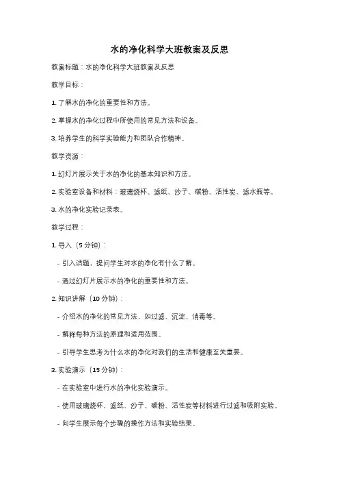 水的净化科学大班教案及反思