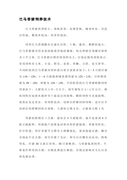 巴马香猪饲养技术