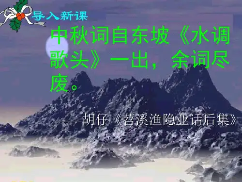 人教版八年级语文下册《五单元  阅读  25 诗词曲五首  水调歌头(明月几时有)》示范课件_22