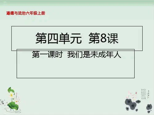 我们是未成年人PPT课件