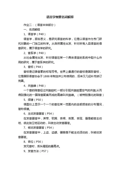 语言学纲要名词解释