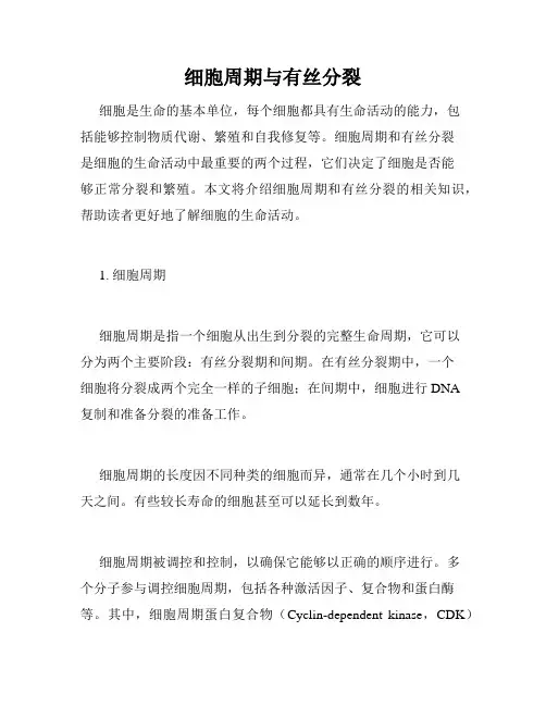 细胞周期与有丝分裂