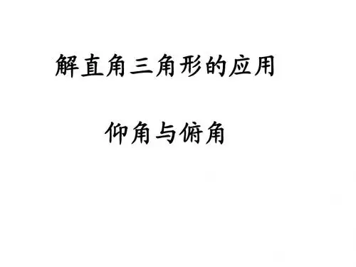 解直角三角形 第3课时 复习 (湘教版九年级全)课件