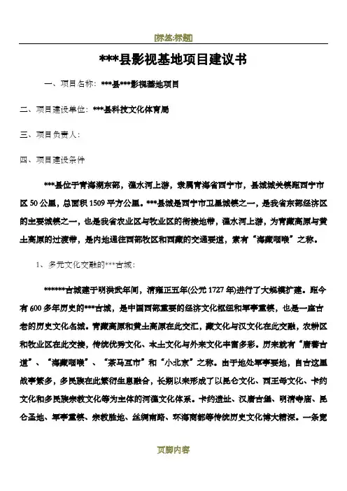 影视基地项目建议书