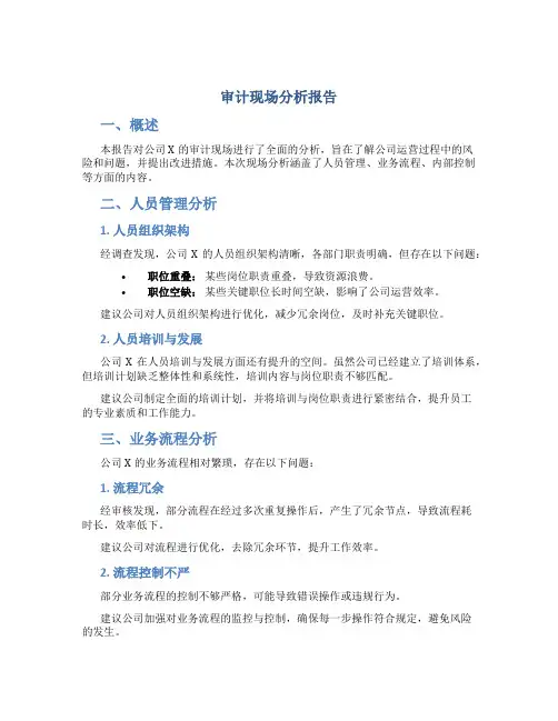 审计现场分析报告