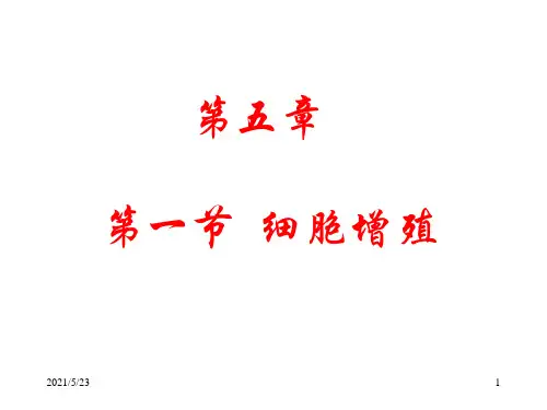 高中生物必修一有丝分裂习题