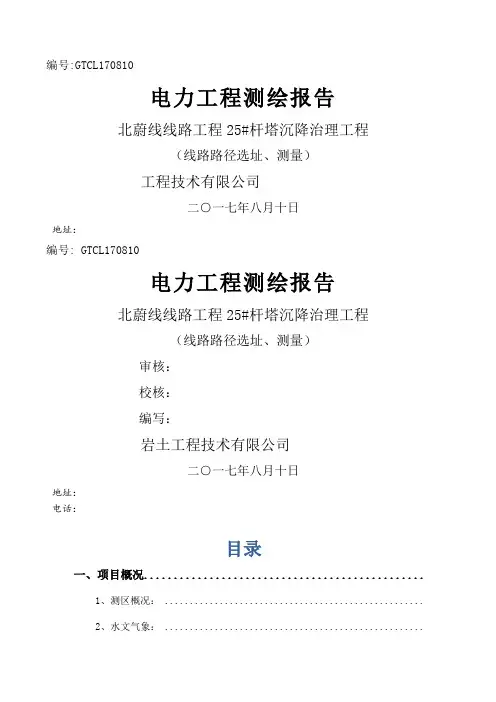 测绘报告范本