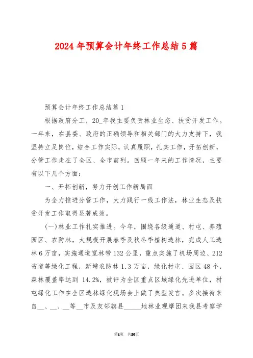 2024年预算会计年终工作总结5篇