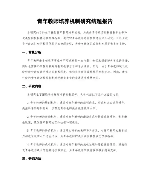 青年教师培养机制研究结题报告