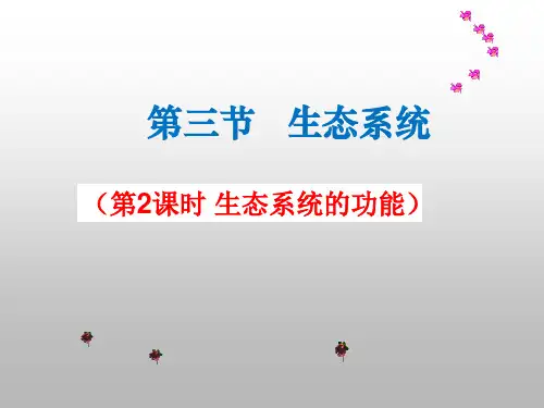 北京版生物八年级下册：14.3 生态系统 (第2课时 生态系统的功能)课件(共20张PPT)