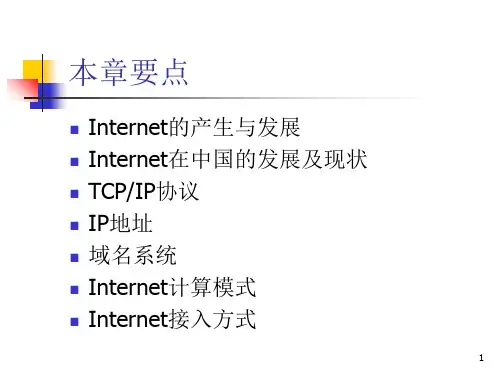 Internet概述2PPT资料61页