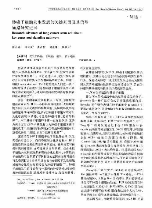 肺癌干细胞发生发展的关键基因及其信号通路研究进展
