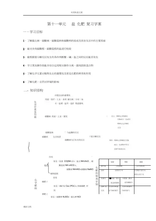 第十一单元盐化肥复习学案