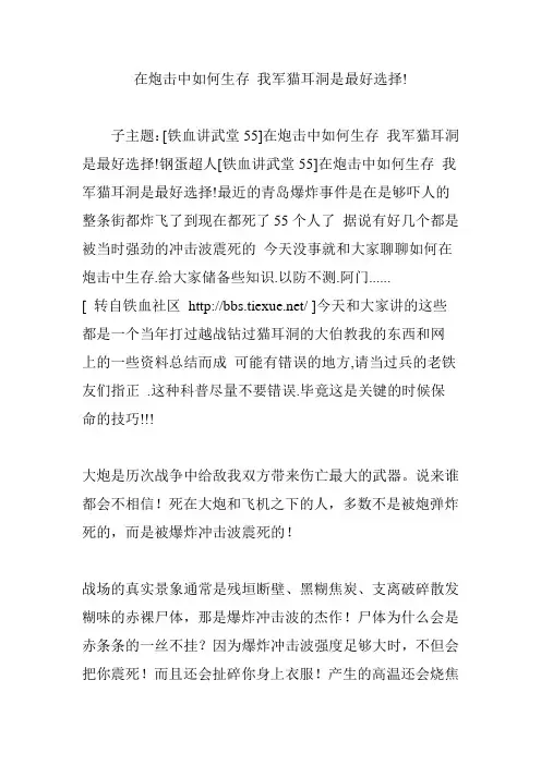在炮击中如何生存 我军猫耳洞是最好选择!
