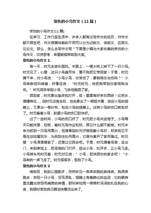 受伤的小鸟作文（11篇）