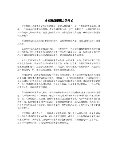 浅谈班级凝聚力的形成