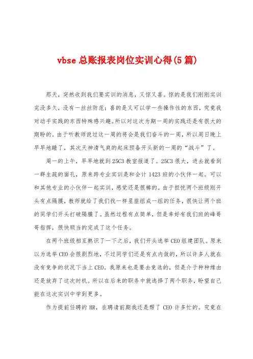 vbse总账报表岗位实训心得(5篇)