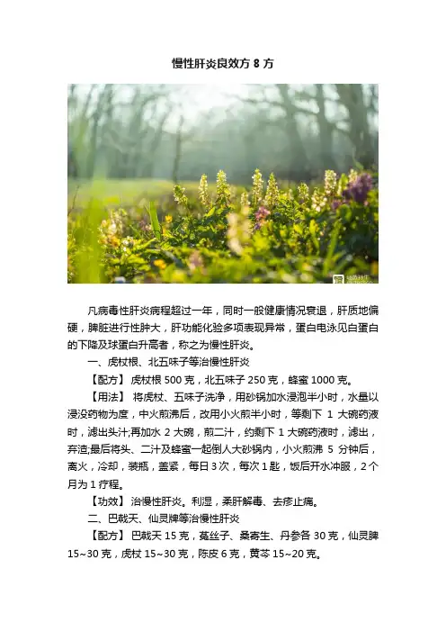慢性肝炎良效方8方