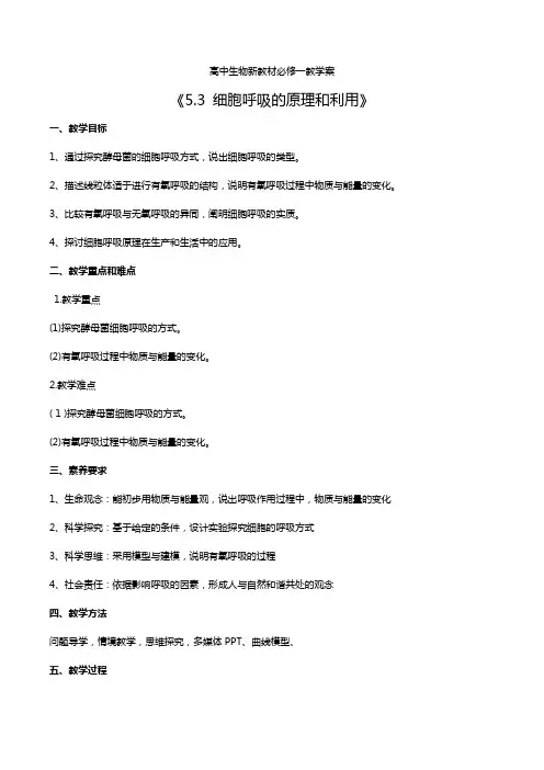 2020年高中生物新教材必修一教学案《5.3 细胞呼吸的原理和利用》