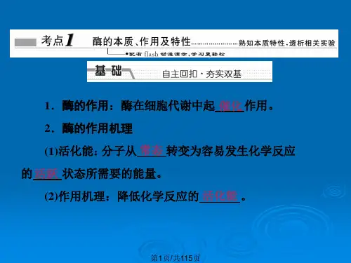 高三生物一轮复习酶与ATP新人教版必修.pptx