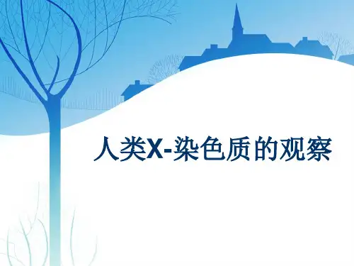 人类X-染色质的观察