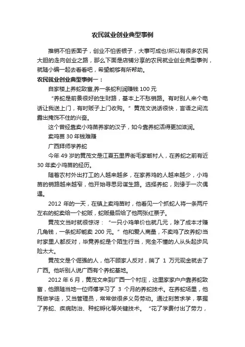 农民就业创业典型事例