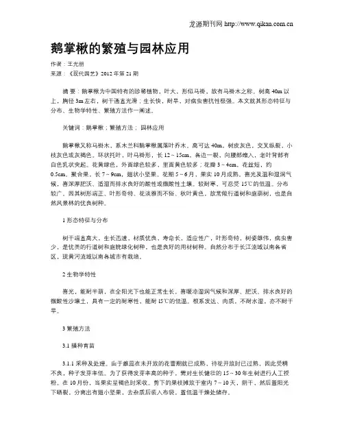 鹅掌楸的繁殖与园林应用