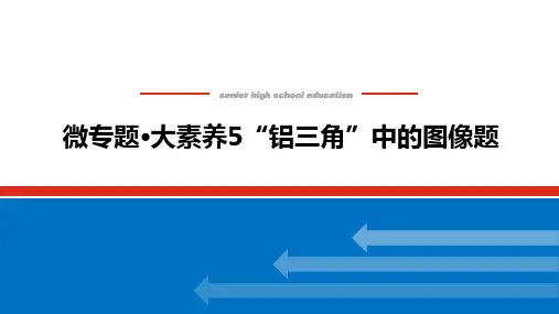 高中化学高考总复习 微专题 大素养05 “铝三角”中的图像题