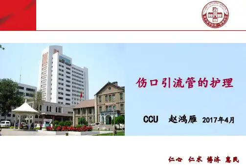 伤口引流管的护理  ppt课件