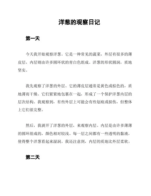 洋葱的观察日记