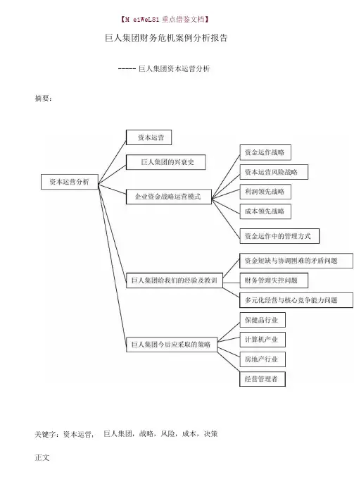 巨人集团财务危机案例分析报告