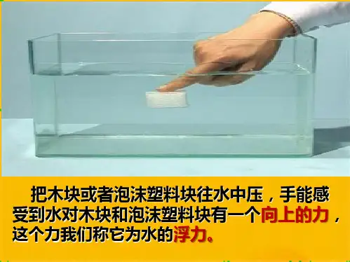 浮力(共8张PPT)