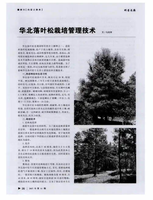 华北落叶松栽培管理技术