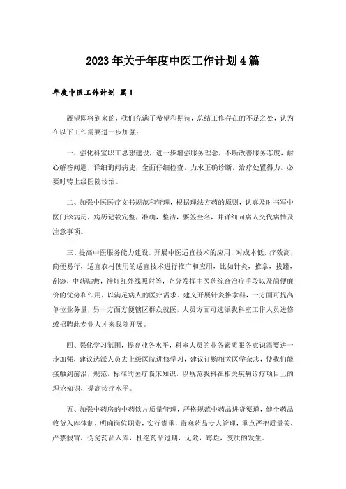 2023年关于年度中医工作计划4篇