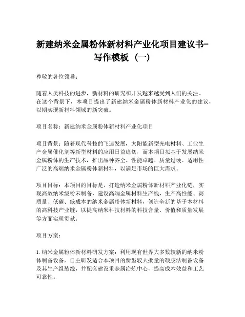 新建纳米金属粉体新材料产业化项目建议书-写作模板 (一)