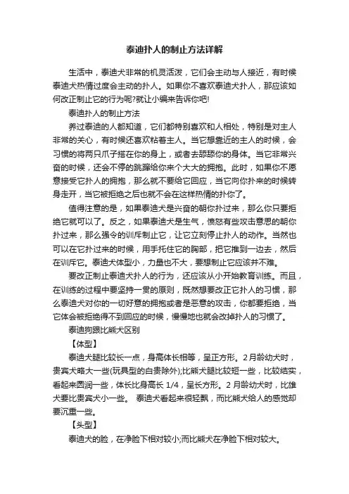 泰迪扑人的制止方法详解