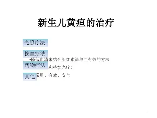 新生儿黄疸的治疗光疗ppt课件
