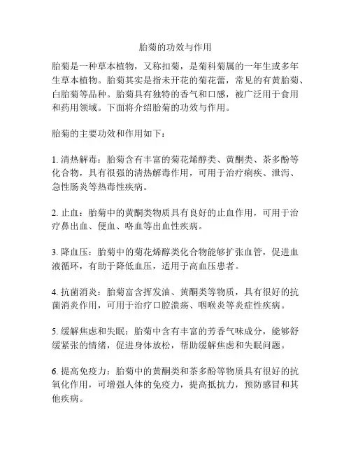 胎菊的功效与作用