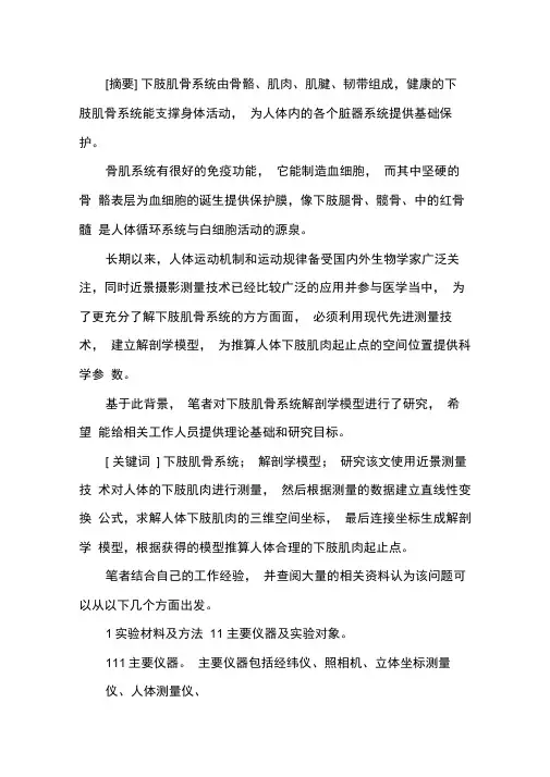 下肢肌骨系统解剖学模型研究