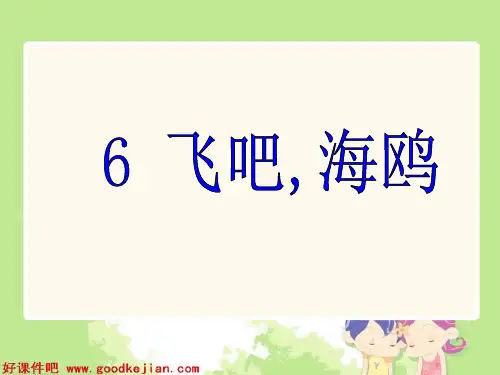 飞吧海鸥课件PPT