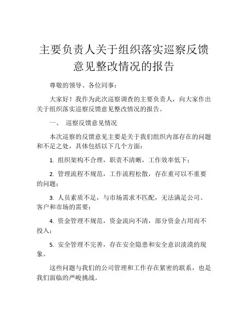 主要负责人关于组织落实巡察反馈意见整改情况的报告