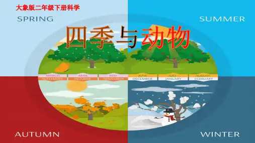 大象版二年级下册科学四季与动物课件