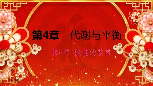 九年级科学上册 第4章 代谢与平衡 第4节 能量的获得课件