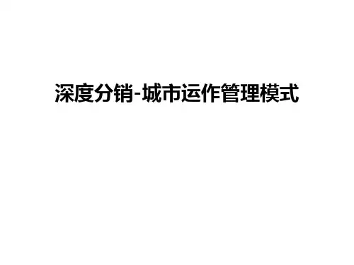最新深度分销-城市运作模式