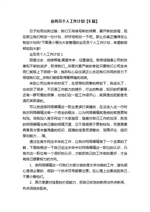 业务员个人工作计划【5篇】