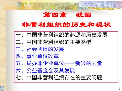 我国非营利组织PPT演示课件