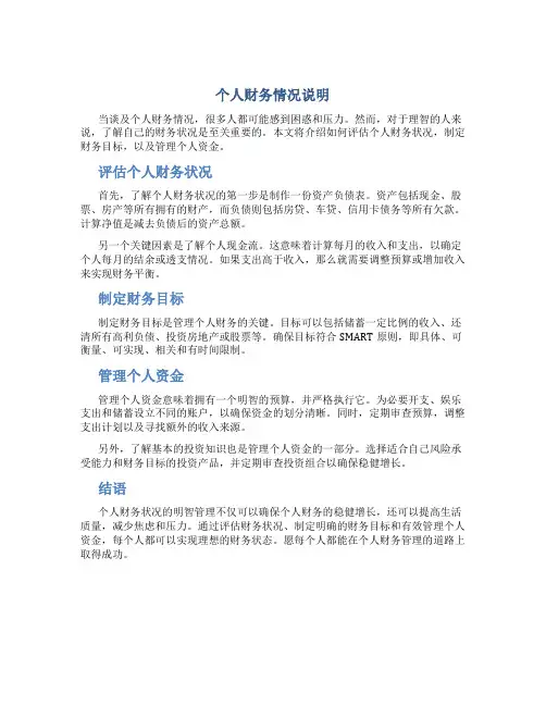 个人财务情况说明