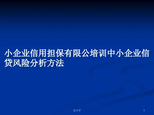 小企业信用担保有限公培训中小企业信贷风险分析方法PPT学习教案