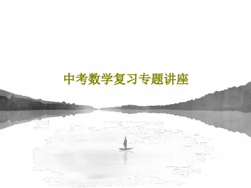 中考数学复习专题讲座28页PPT