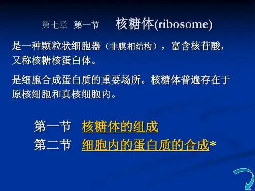 核糖体